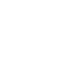 insta logo white